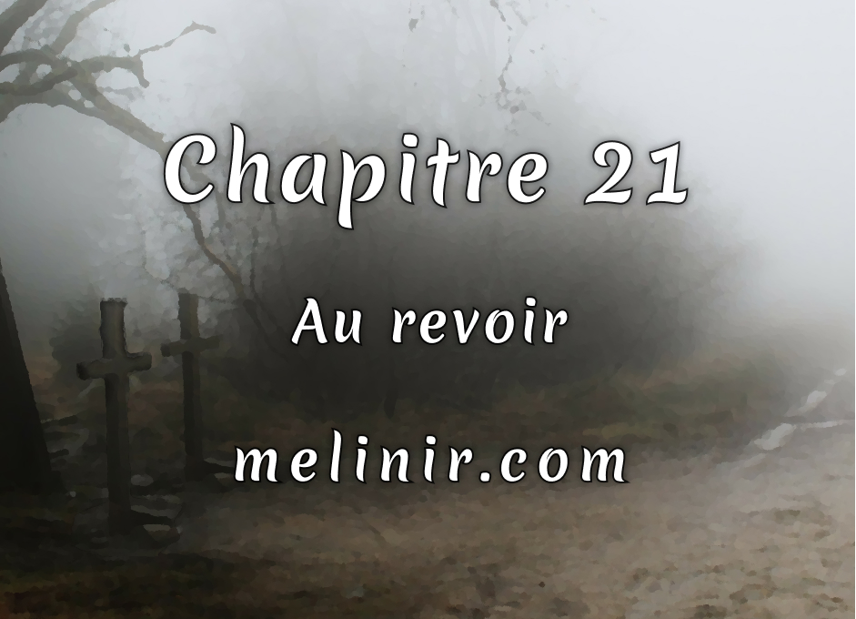 Melinir Tome 1 - Chapitre 21 - Au revoir