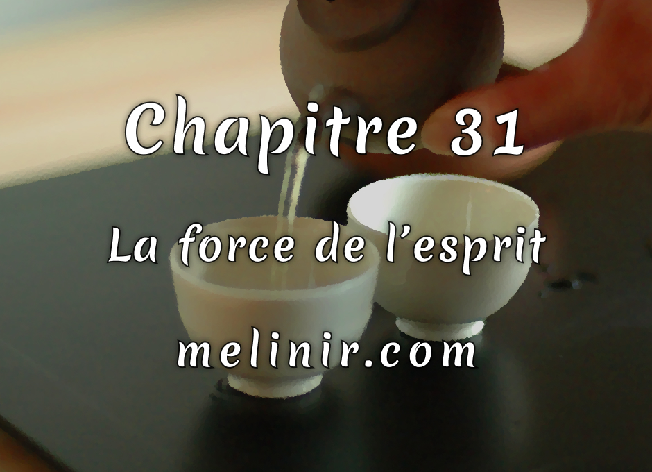 Melinir Tome 1 - Chapitre 31 - La force de l'esprit