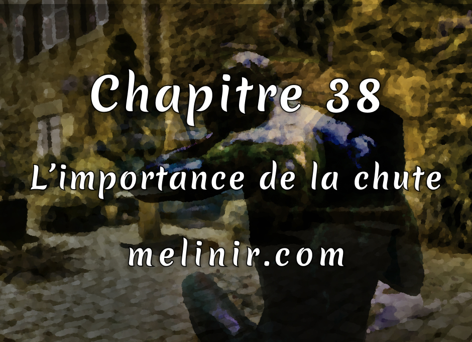 Melinir Tome 1 - Chapitre 38 - L'importance de la chute
