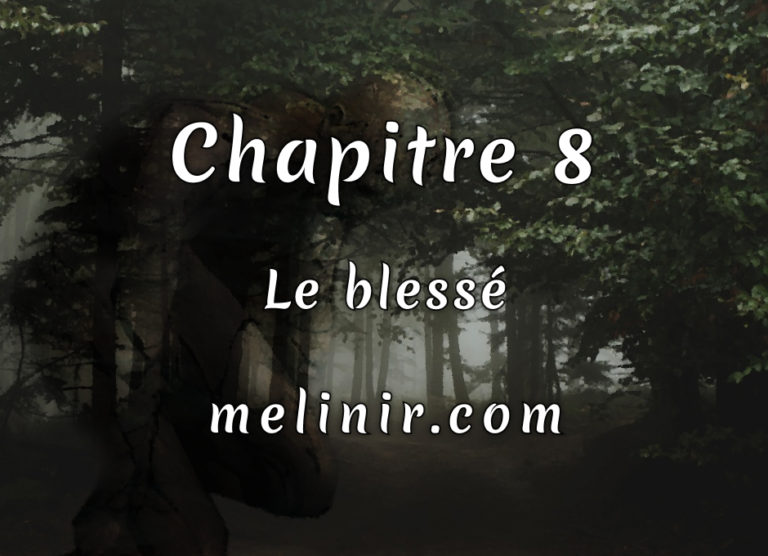 Chapitre 8 – Le blessé